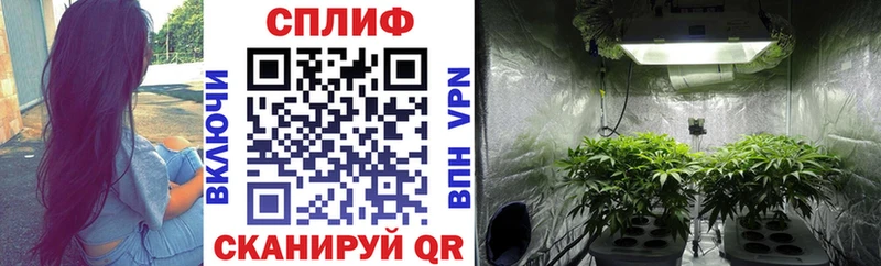 Конопля Bruce Banner Ахтырский